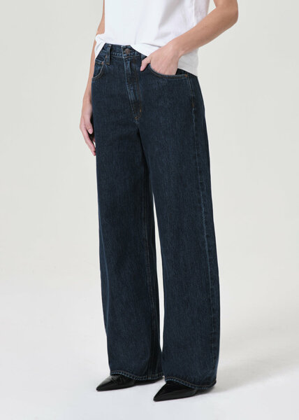 Agolde Low Curve Jean 